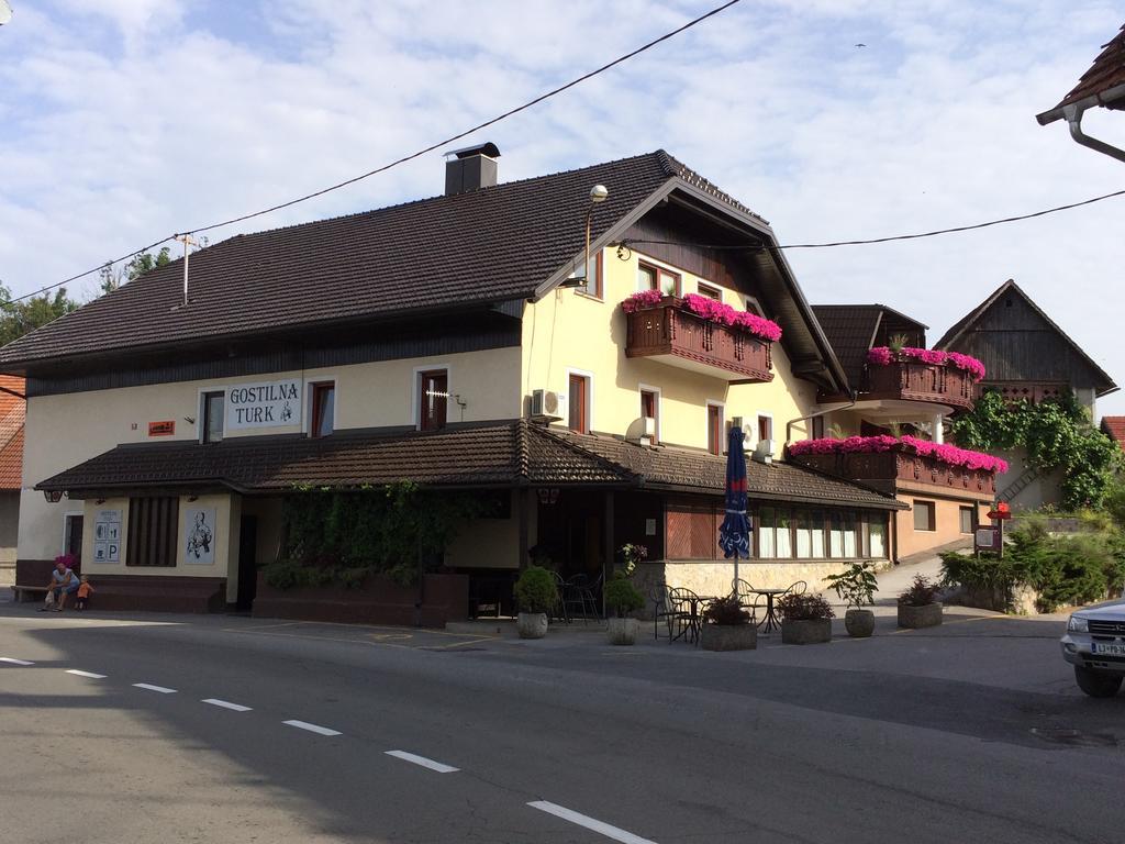 Hotedrsica Gostilna Turk酒店 外观 照片